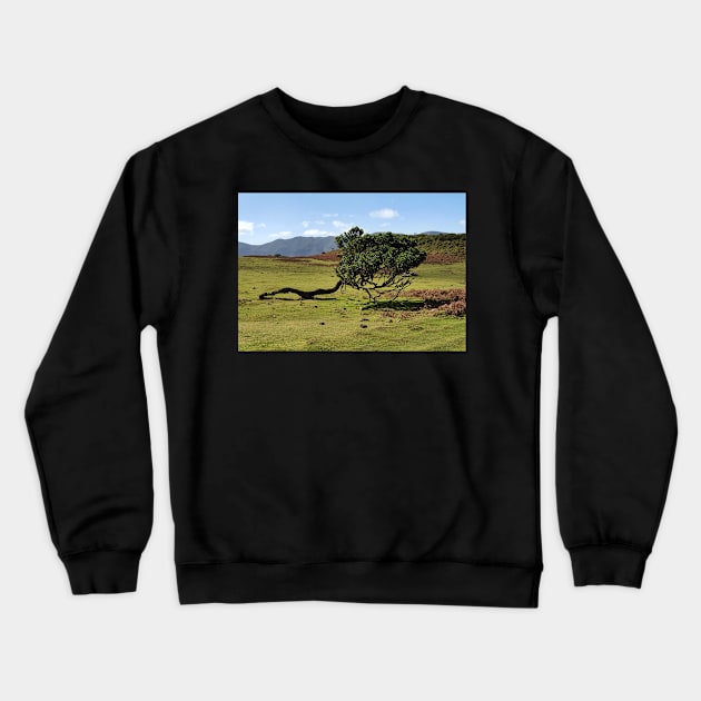 Madeira, motif 3 Crewneck Sweatshirt by Zamart20